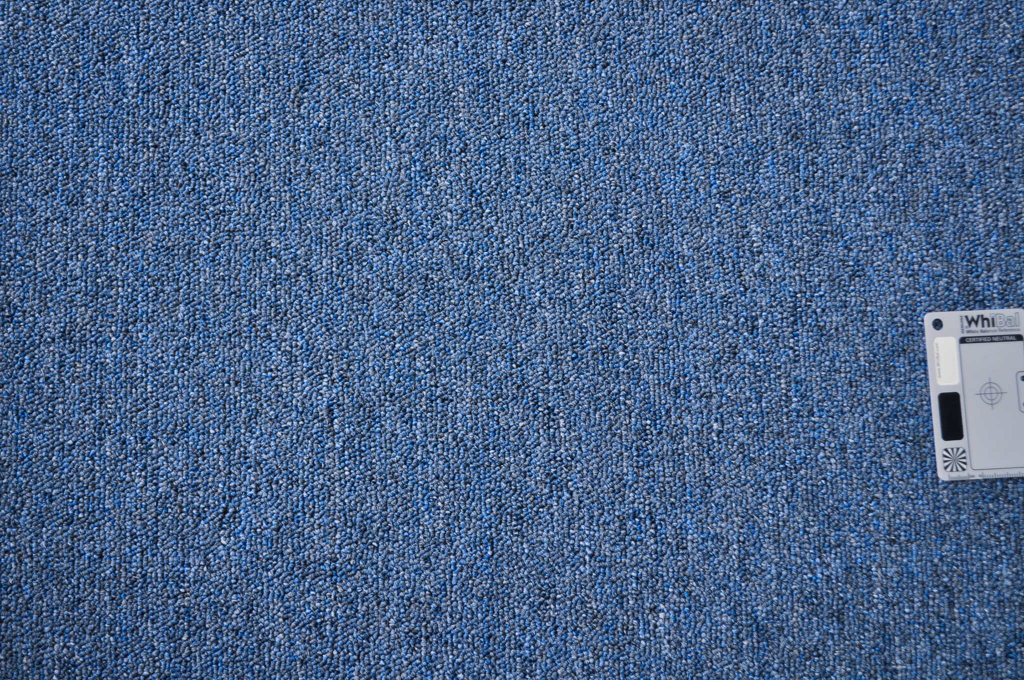 a sample of a blue colored polypropelene loop pile carpet.